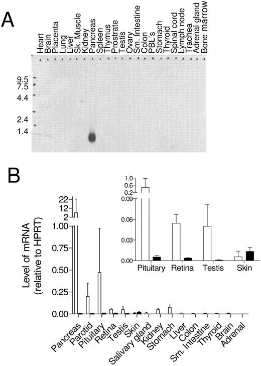 Expression of GPHA2 and GPHB5 mRNA by Northern and Quantitative Real-Time RT-PCR Analysis A, Northern analysis of GPHA2 in a selection of mRNAs from human tissues. B, Real-time RT-PCR analysis of human tissues. GPHA2 (open bars) and GPHB5 (solid bars) mRNA levels are expressed relative to that of human hypoxanthine guanine physphoribosyl transferase (HPRT). Each bar represents the mean ± sd of n = 3 measurements. The number of tissues from separate individuals analyzed is described in Materials and Methods. Inset, Real-time RT-PCR mRNA measurements from selected tissues shown on an expanded scale.