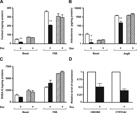 Steroid Secretion Is Selectively Modulated by Increased SF-1 Dosage in Human Adrenocortical Cells Cortisol (A), aldosterone (B), and DHEA-S (C) were assayed in the culture medium of H295R/TR and H295R TR/SF-1 cells in basal conditions or stimulated with 10 μg/ml forskolin (FSK) (for cortisol and DHEA-S assays) or 10 nm angiotensin II (AngII) (for aldosterone assays) for 48 h in the absence (white histograms, H295R TR/SF-1 cells; finely hatched bars, H295R/TR cells) or in the presence (black histograms, H295R TR/SF-1 cells; coarsely hatched bars, H295R/TR cells) of doxycycline (Dox; 1 μg/ml). Steroids were assayed in triplicate by specific RIA (aldosterone and DHEA-S) or chemiluminescent assays (cortisol). sem is indicated. Note that the y-axis in B is in log scale. Significant differences existed between cortisol levels (P = 0.0041 for basal and P = 0.0001 for forskolin-stimulated levels, t test; n = 3) and aldosterone levels (P = 0.0320 for basal and P = 0.0031 for angiotensin II-stimulated levels, t test; n = 3) in the absence and in the presence of doxycycline. *, P < 0.05; **, P < 0.01. No significant difference for all measured steroids existed in basal vs. doxycycline-treated parental H295R/TR cells. D, Relative expression of HSD3B2 and CYP21A2 mRNAs was assayed by qRT-PCR in H295R TR/SF-1 cells cultured for 72 h in the absence (white histograms) or in the presence (black histograms) of doxycycline (1 μg/ml).