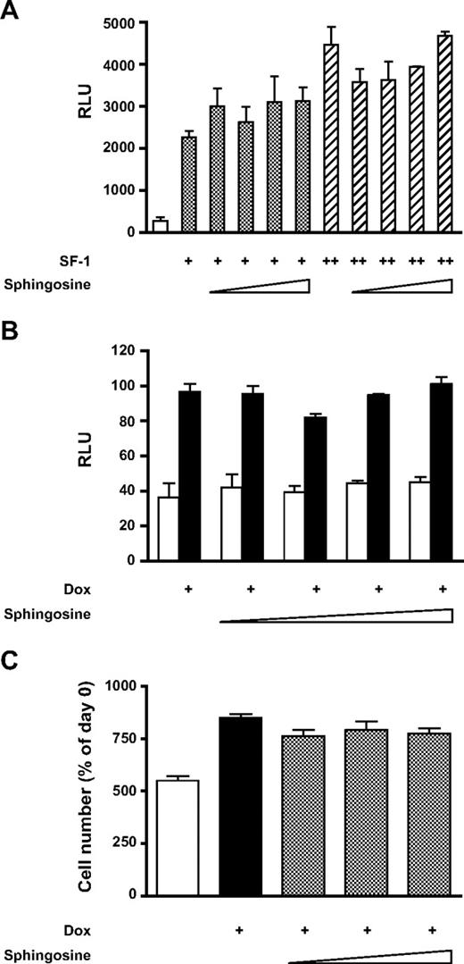 Sphingosine Does Not Affect Up-Regulation of FATE1 Promoter Expression and H295R Cell Proliferation by Increased SF-1 Dosage A, FATE1 promoter-luciferase was transfected in COS cells, and its expression was measured after cotransfection with SF-1 expression vector (0.25 or 0.5 μg) in the presence of solvent (dimethylsulfoxide) or of increasing concentrations of sphingosine (0.1, 1, 5, and 10 μm); B, FATE1 promoter-luciferase was transfected in H295R TR/SF-1 cells cultured in basal conditions (white bars) or treated with doxycycline (Dox; 1 μg/ml; black bars) in the presence of solvent (dimethylsulfoxide) or of increasing concentrations of sphingosine (0.1, 1, 5, and 10 μm); C, proliferation of H295R TR/SF-1 cells was measured for cells cultured in basal conditions (white bar) or treated with doxycycline (Dox; 1 μg/ml) in the presence of solvent (dimethylsulfoxide; black bar) or of increasing concentrations of sphingosine (0.1, 1, and 5 μm). Proliferation is expressed as percentage of cell number on d 0 after a 6-d culture period. RLU, Relative luciferase units.