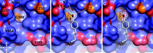 Close-up of HPPE Bound into the TRβ LBD AF-2 Pocket A, Solid representation of TRβ LBD is depicted. The negatively charged residues are red, the positively charged residues are blue, the hydrophobic residues are lilac, and the cysteine residues are yellow. B, The TRβ AF-2 surface and the compound HPPE are shown as a gray stick model placed inside the AF-2 pocket. The distance between HPPE and K306 was 5.7 Å (white dotted line); that to E457, 5.7 Å (green dotted line); that to the unsaturated carbon and C309, 6.5 Å (black dotted line); and that to C298, 7.7 Å (yellow dotted line). C, The TRβ AF-2 surface and the compound HPPE (shown as a gray stick model). A pale gray mesh is included to show the volume of the AF-2 pocket that the compound occupies. The figure was generated using PyMOL (16 ).