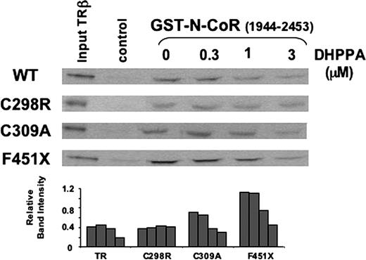 DHPPA Inhibits Corepressor N-CoR Binding to TRβ SDS-PAGE gel showing quantities of in vitro-translated, unliganded wild-type (WT) TRβ or mutant TRs retained on GST-N-CoR (amino acids 1944–2453) in pull-down assays in the presence of increasing concentrations (micromolar) of DHPPA.