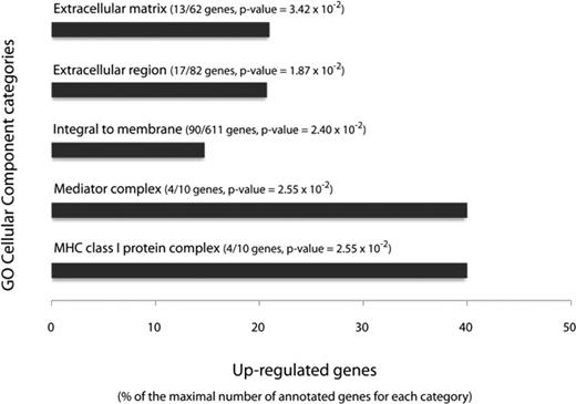 The most significantly enriched cluster of GO cellular component categories annotating genes up-regulated in Ac CM-treated preadipocytes. Significantly enriched GO cellular categories are represented in relation to the fraction of up-regulated genes among the genes annotated by each category. MHC, Major histocompatibility complex.