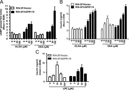 GPR119-dependent insulinotropic effect of OLDA and OEA. RIN-5F cells were stably transfected with human GPR119 expression plasmid (RIN-5F/hGPR119) or with empty plasmid (RIN-5F/vector). Cells were treated with the indicated concentrations of OLDA or OEA and subsequently evaluated for cAMP production (A) or insulin release (B). C, LPC-stimulated insulin release in both vector-transfected and GPR119-expressing RIN-5F stables.