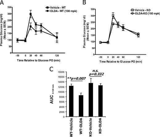 OLDA improves oral glucose tolerance in mice in a GPR119-dependent manner. Overnight-fasted male mice were dosed with either vehicle or 100 mg/kg OLDA via oral gavage. An oral glucose bolus (3 g/kg) was then administered 30 min after vehicle or OLDA treatment. Plasma glucose levels (mg/dl) were determined using a OneTouch Ultra Glucose meter and blood (∼5 μl) collected from tail nick at indicated time points (time in minutes relative to glucose bolus). Glucose excursion curve was shown for wild-type littermates (A) and for GPR119-deficient mice (B) and from data collected from six (n = 6) in each treatment group and genotype (mean ± sem, n = 6). C, The area under the curve (AUC) of the glucose excursion curve from time 0 to 120 min after glucose bolus was shown for each treatment group, as indicated. Statistical significance (P value) was assessed by t test between vehicle-treated and OLDA treated-groups. KO, Knockout; PO, per oral; WT, wild type; n.s., not significant.