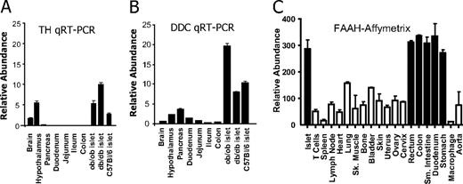 Expression of TH, DDC, and FAAH in mouse islets and intestines. RNA was extracted from whole brain, hypothalamus, indicated regions of the gut, and pancreas of C57bl/6 mice (n = 3) and from isolated pancreatic islets of C57bl/6, ob/ob, and db/db mice. Expression of TH and DDC was analyzed by Taqman QPCR (qRT-PCR). Expression levels were normalized with internal β-actin control and shown for TH (A) and for DDC (B). FAAH expression in the comparable sets of mouse tissues (C) was determined using a custom Affymetrix gene expression chip. QRT-PCR, Quantitative real-time RT-PCR; SK, skeletal; Sm, small.