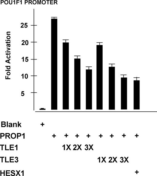 Gro/TLE family members repress PROP1 activity in the absence of HESX1. 293T cells were transiently transfected with POU1F1 promoter-luciferase reporter construct with 50 ng PROP1 in the absence of HESX1. Increasing amounts of TLE1 or TLE3 were transfected: 50 ng (1X), 150 ng (2X), and 250 ng (3X). Maximal repressive effects were observed for 200 and 250 ng (plateau phase, data not shown). The luciferase activity produced from PROP1 alone and from PROP1 and TLE1 or TLE3 together was statistically different for the three amounts of DNA transfected (P < 0.001).