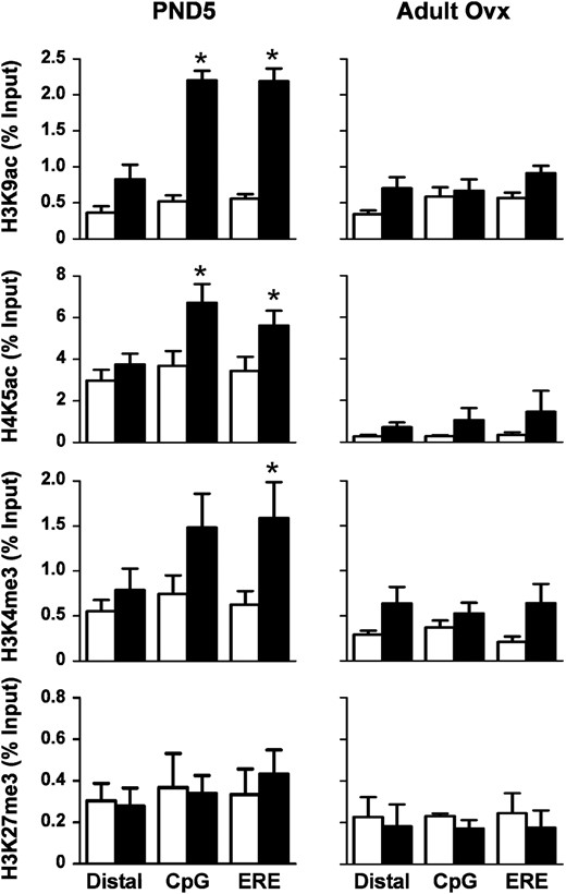 Differential association of modified histones with the Ltf gene region after neonatal DES exposure. ChIP assays were performed on uterine tissue from PND5 (left panels) or adult ovx (right panels) mice using the indicated modified histone antibodies. PCR was performed on a distal region and 2 regions near the Ltf transcription start site (CpG and ERE) (see Table 2 for primer locations). Mean ± SE is plotted; n = 4 per group. White bars represent control; black bars represent DES. *, P < .05 compared with control.