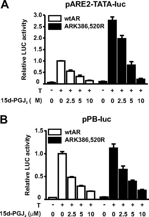 The AR is directly inhibited by 15d-PGJ2. COS-1 cells were cotransfected with a minimal pARE2-TATA-luc (A) or pPB-luc (B) reporter together with expression vectors encoding wtAR- or SUMOylation-deficient ARK386,520R. After 28 h, cells were exposed to testosterone (T; 100 nm) and increasing concentrations of 15d-PGJ2 as indicated. After 14 h, luciferase and β-galactosidase (a control assessing for transfection efficiency) activities were measured. Relative luciferase activity of wtAR in the presence of T and in the absence of 15d-PGJ2 is set as 1 and other values are expressed in relation to that value. The columns represent the mean ± sd values of a representative experiment with triplicate samples.