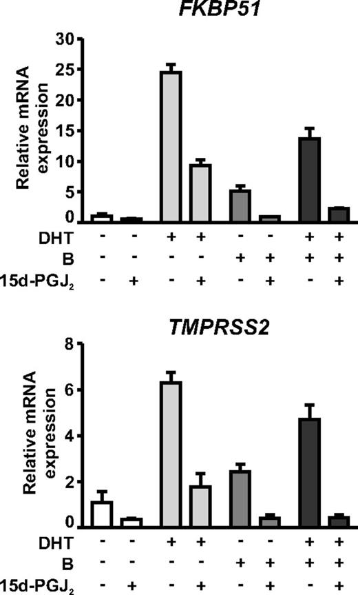 15d-PGJ2 and bicalutamide have an additive effect on AR-dependent gene expression in VCaP cells. VCaP cells were treated with or without 1 nm DHT and/or 10 μm bicalutamide in the presence or absence of 5 μm 15d-PGJ2 for 6 h as indicated. Expressions of FKBP51 and TMPRSS2 were analyzed as described in Fig. 3.