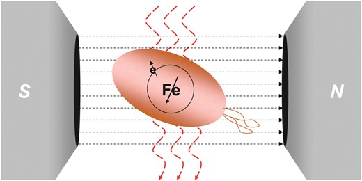 EPR spectroscopy applied to systems of whole cells, extracts, or organelles can afford an integral, and at the same time detailed, picture of the sub-metallomes of paramagnetic transition ions.