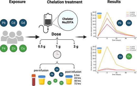 Graphical Abstract