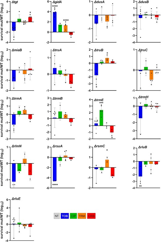 Survival to lethal antibiotic treatment. Vibrio cholerae WT and deletion mutant cultures were grown without antibiotics up to early exponential phase. Total number of bacteria was determined by plating on MH plates before addition of the indicated antibiotic at >MIC, at time T0. After 20 h of incubation with the antibiotic, the number of surviving bacteria was determined by plating on MH plates (T20). Survival was calculated for each strain by dividing the number of surviving bacteria at T20 by the initial number of bacteria. The y-axis represents the log10 survival ratio of a given mutant over the survival of the WT strain. Antibiotic concentrations: TOB 10 µg/ml, CIP 0.04 µg/ml, TRM 50 µg/ml, and CRB 50 µg/ml. Means and geometric means for logarithmic values were calculated using GraphPad Prism. For multiple comparisons, we used one-way ANOVA on GraphPad Prism. **** means P< .0001, *** means P< .001, ** means P< .01, and * means P < .05. Only significant P-values are represented. Number of replicates for each experiment: 3 < n < 8.