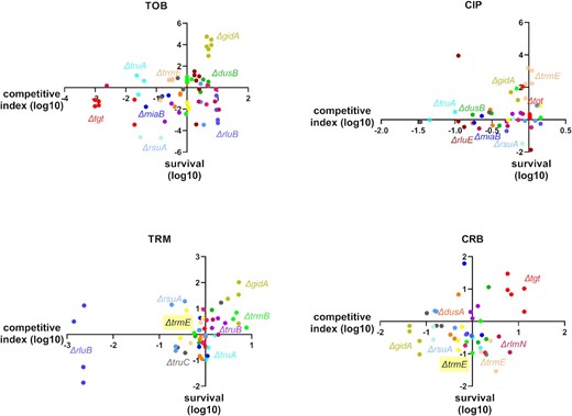 Fitness versus survival. For each antibiotic, survival values from Fig. 3 (y-axis, log10 values) were plotted against competitive index values from Fig. 2 (x-axis, log10 values). TOB: tobramycin, CIP: ciprofloxacin, TRM: trimethoprim, and CRB: carbenicillin. Names of genes with significant changes are indicated.
