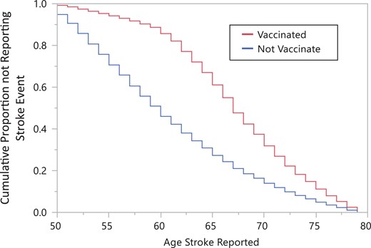 Estimated proportions of respondents within each age (ages 50–79) without a history of stroke, by zoster vaccination status. A different sample of respondents was used at each age. At age 79 despite vaccination status, the cumulative Kaplan–Meier proportions of age cross-sections where respondents were without a stroke history approach 0.0. Behavioral Risk Factor Surveillance System 2014.