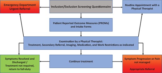 Final Acute Spine Pain Clinic Process Flow.