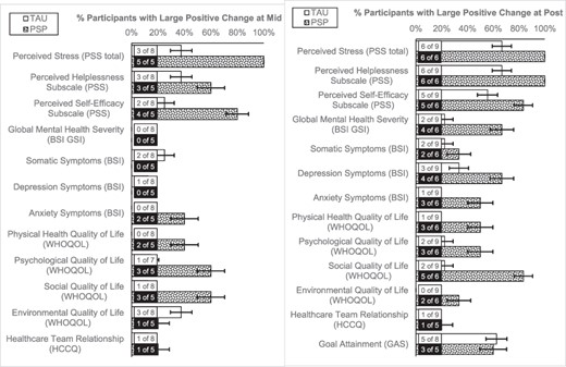 Patient outcomes related to the efficacy of PSP at the mid-assessment and the final assessment.