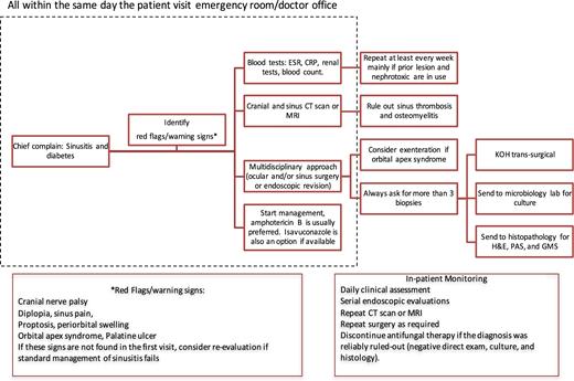 An algorithm for diagnosis and treatment of rhino-orbital-cerebral mucormycosis in patients with diabetes mellitus. Diabetes means any type of diabetes (1 or 2), controlled or noncontrolled, with or without DKA. Individuals with noncontrolled diabetes, hyperglycemia, and/or DKA have higher risk of infections and worse outcomes. Following discharge, we recommend a close follow-up of at least 72 h that includes a clinical and biochemical reevaluation, as well as a determination of the need, for additional surgery. For patients with diabetes mellitus who are receiving amphotericin B, particularly those with diabetic nephropathy, ambulatory monitoring of serum creatinine is important, as renal function may deteriorate over time. PAS: periodic acid Schiff, H&E: hematoxylin and eosin, GMS: Grocott-Gomori methenamine silver