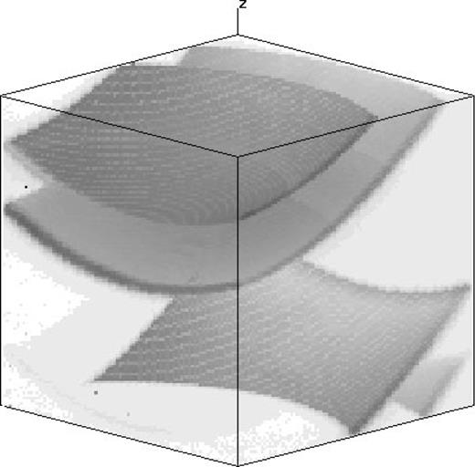 Projection of the raw (x, y, z) neon phase cube made with the Australia Telescope National Facility's visualization software (program xray, by R. Gooch: see ). The size of the cube is 121×550×556. Two neon lines, each at two interference orders, are clearly visible as sections of a paraboloid. A third line, weak and unidentified, is visible in the middle of the cube. (see also Fig. 5).