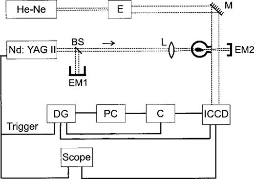 The setup of the laser-generated starting jet experiment. A focused Nd:YAG laser pulse produces a high pressure plasma bubble within a glass bottle. Shadowgrams of the flow that emerges through the nozzle of the glass bottle are obtained by imaging an expanded He-Ne laser beam with an ICCD. The notation used in the diagram is as follows: E (expansor), M (mirror), BS (beam splitter), DG (delay generator), C (controller), ICCD (intensified CCD), L (lens), EM (energy metre), OD (optical detector).