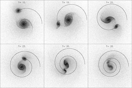 Snapshots from a direct planar encounter between galaxies with mass ratio 1:4. The distribution of both gas and stars is overplotted. The size of the frames corresponds to 40 hprim.. In each frame, the time in simulation units is indicated, counted from the beginning of the simulation.