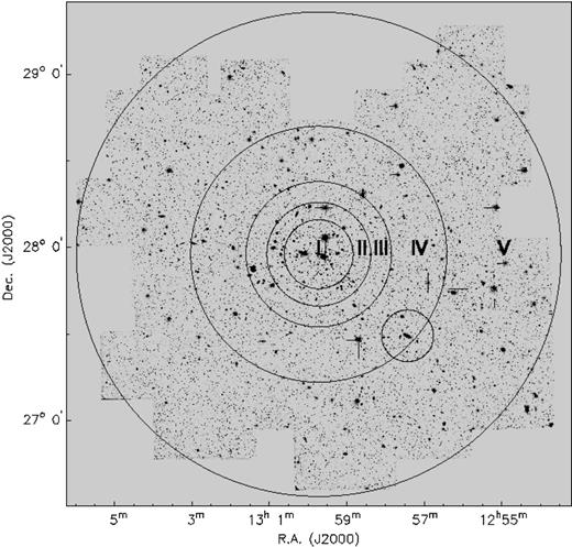 Overview of the total area covered in the B and r band with annuli overlaid. Radii are: I: , II: , III: , IV: and V: degrees at Coma distance). The circular area centred on NGC 4839 has a radius of 0.15°.