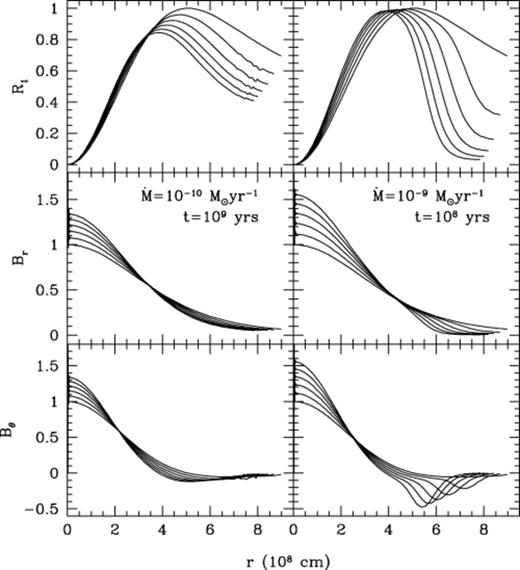 Time evolution of the magnetic field during accretion of 0.1 M⊙ on to a 0.6-M⊙ white dwarf. We assume ‘vacuum’ boundary conditions (see the discussion in Section 4.1). The left-hand panel shows M·=10-10 M⊙ yr-1, for which the accretion takes 109 yr; the right-hand panel shows M·=10-9 M⊙ yr-1, for which the time elapsed is 108 yr. The curves are spaced by equal increments in central density, which increases from ≈3×106 to ≈6×106 g cm−3. We normalize R1 to have a maximum value of R1=1 initially, and normalize Br and B to have a central value of unity initially.