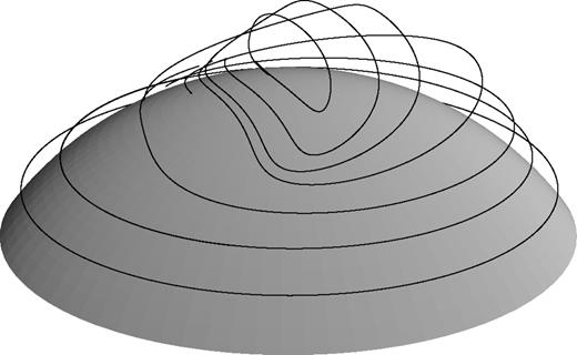 几个具有代表性的高纬度磁力线经历了极性扭结不稳定性。这是针对反对称N=1，s=0.18，a=1，k=15模式（参见图1和图2）。场线段位于r=1（阴影面）和r=1+π/k=1.21之间的层中，所有线段均从底部开始，在45°、52.5°、60°、65°、70°和80°的纬度处，20%进入该层。这些线是通过向环形平衡场中添加一个较小但任意倍数的线性场，并积分dr/ds=a来确定具有弧参数s的场线而生成的。这并不意味着非线性演化必然会达到这个阶段。