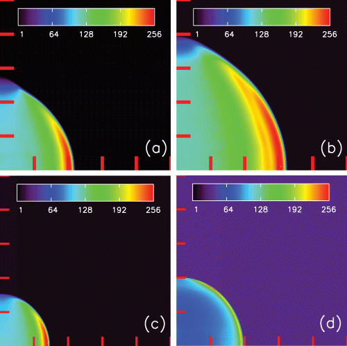 Simulated synchrotron surface brightness ∝PB1.5 from SNRs, shown at two epochs, (left-hand panels) 20 kyr after the explosion. (Right-hand panels) 60 kyr after the explosion. The top row illustrates the expansion of a SNR into a standard ISM (Run L1). The bottom row illustrates the expansion of a SNR into a higher density ISM (Run H1). The tick marks indicate projected distances of 10 pc. Units on the linear colour scale are arbitrary, and scaled such that the greatest surface brightness has a value of 256.