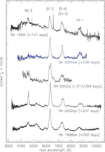The same as Fig. 8, but five to 12 months after explosion. The spectrum of SN 2004aw was smoothed with a box size of 10 Å. The spectrum of SN 2003jd is a combination of two spectra taken 317 and 354 d after maximum, respectively. SN 1994I is heavily contaminated by light from the underlying galaxy.
