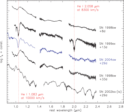 Near-IR spectra of SNe 2004aw (Type Ic), 1999ex (Type Ib/c), 1998bw (BL-SN) and 2002bo (Type Ia) at epochs from one to five weeks after B-band maximum. The position of the minima of two pronounced He i features in SN 1999ex is marked by vertical dotted lines. For references see text.