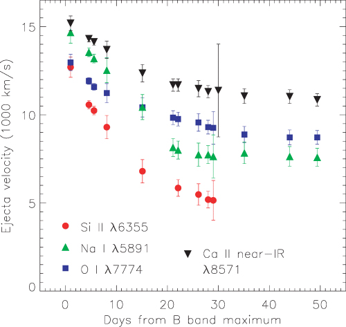 Velocity evolution of different spectral lines of SN 2004aw.