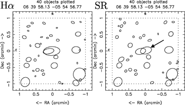 The deblending around the new MASH-II PN MPA0639-0554 (arrowed) in the Hα (left-hand side) and SR (right-hand side) wavebands. Each waveband is deblended separately which can lead to Hα not being assigned a SR magnitude (and vice versa) when the deblending result is different in each waveband. In such cases, the PN could not have been found using a simple Hα-SR cut.