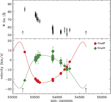 Upper panel: equivalent width of Hα in function of time. Hα appears in two different orders in the spectrum. Therefore the values measured on both orders are plotted. Lower panel: radial velocities of the primary (red filled circle) and the secondary (green filled diamond) components of HD 200775. The full lines are the fitting curves. The arrows indicate the periastron passage.
