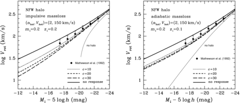 Theoretical I-band Tully–Fisher relations with and without dynamical response of the Kuzmin disc embedded in the NFW halo. Same as in Fig. 6, but for the dependence on the concentration parameter c. The results are shown by various thick lines in the left-hand panel for the impulsive mass-loss and in the right-hand panel for the adiabatic mass-loss.