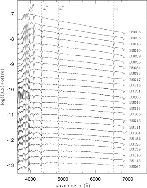 Observed SEDs of the 24 BSs in our sample. The spectra are roughly ordered in a temperature sequence, decreasing from top to bottom. Vertical dotted lines indicate the loci of four major spectral features, H 6562 Å, H 4860 Å, H 4340 Å and Ca K 3933 Å.