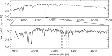 Low-resolution (top panel) and intermediate-resolution (bottom panel) spectra of BS065. The dotted vertical lines indicate the positions of the Rose (1994) features used to define the gravity-sensitive line-depth index used in this paper.