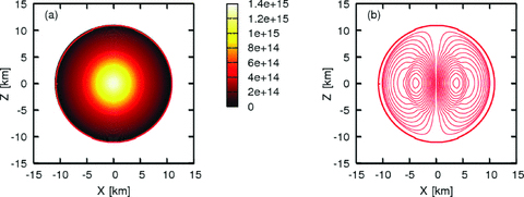 Distribution of (a) baryon density (g cm−3) and (b) magnetic field with the ‘mixB200’ EOS. Here, the central baryon density g cm−3, the baryon mass M0= 1.86 M⊙, the gravitational mass M= 1.69 M⊙, the flux normalized by units of 1030 G cm2, Φ30= 2.00, the ratio of the magnetic energy to the gravitational energy H/|W| = 1.65 × 10−2, maximum magnetic fields Bmax= 1.44 × 1018 G.