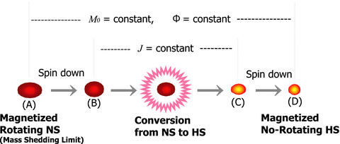 Schematic drawing, showing our scenario of conversion from neutron stars (NSs) to hybrid stars (HSs). The baryon rest mass and the magnetic flux are assumed to be conserved for modelling the isolated neutron stars that are adiabatically losing angular momentum via gravitational radiation and/or magnetic breaking. We furthermore assume the conservation of the angular momentum at the conversion.