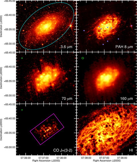 Images of the entire optical disc of NGC 2403 in multiple wave bands. The 3.6 μm image traces starlight. The PAH 8 μm image traces primarily PAH emission. The 70 and 160 μm images trace cold dust emission. The CO J= (3–2) image shows CO emission associated with molecular gas. The H i image shows atomic gas emission. All images are 21 × 18 arcmin2 with north up and east to the left. Logarithmic colour scales are used for all images except the 160 μm image, where the logarithmic scale to the second power was used to enhance the structure in the image, and the CO J= (3–2) image, where a linear colour scale was used. The colour scales were selected so as to best enhance the structures visible in the optical disc of the galaxy. Green circles in the upper left corners of the images show the beam size when the FWHM is greater than 10 arcsec; smaller beam sizes are difficult to illustrate in this image. The optical disc of the galaxy, as defined by de Vaucouleurs et al. (1991), is shown as a cyan ellipse in the 3.6 μm image. The blue circles in the PAH 8 μm image show the positions of foreground stars that were brighter than or as bright as the continuum emission from the galaxy at 8 μm. These stars were masked out in the analysis. The magenta box in the CO J= (3–2) image shows the region observed with HARP-B. Pixels with non-detections in the CO data are set to black.
