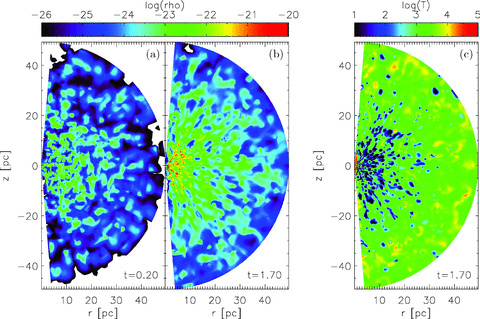 Snapshots of the density distribution in a meridional plane after (a) 0.2 orbits (corresponding to 7 × 104 yr) and (b) 1.7 orbits (approximately 6 × 105 yr). Panel (c) shows the temperature distribution in the same meridional plane after 1.7 orbits.