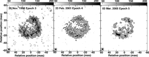 Contour and grey-scale images of the SNR 43.31+59.2 from the global VLBI epochs, restored with a 4 mas beam. The images have been contoured with multiples of −1, 1, 1.414, 2, 2.828, 4 and 5.657 × 0.1 mJy beam−1 for the 1998 epoch and × 0.08 mJy beam−1 for the other two epochs.