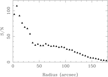 Radial distribution of the average S/N at ∼5000 Å of the spectra within the flux calibrated mosaic of NGC 628.