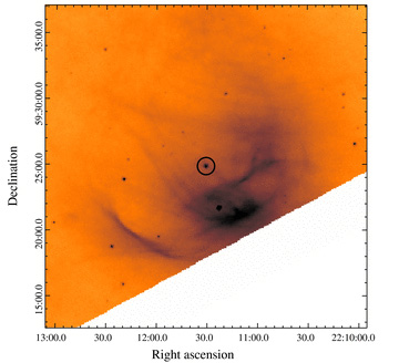Spitzer 24 μm image of the bow shock associated with the O6 I(n)f runaway star λ Cep. The position of the star is indicated by a circle.