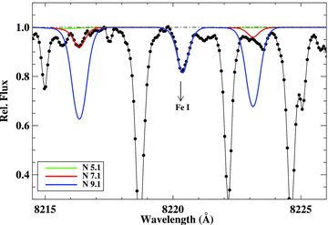 The observed spectrum near 8216 Å and synthetic spectra for the three nitrogen abundances shown on the figure.