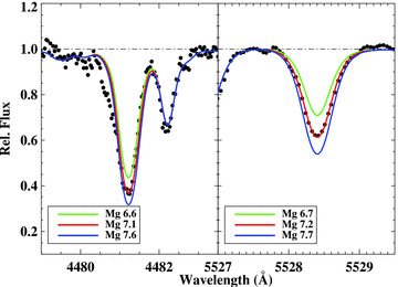 The Mg i 5528 Å and Mg ii 4481 Å regions showing a comparison of the observed spectrum versus the synthetic spectra for three Mg abundances.