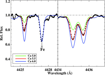 The Ca i 4425 Å and 4435 Å regions showing a comparison of the observed spectrum versus synthetic spectra for three Ca abundances.