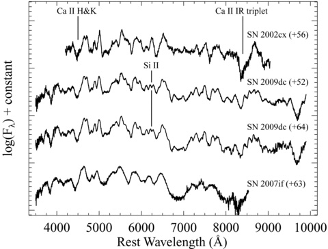 Our spectra of SN 2009dc about 52 and 64 d past maximum, and a few comparison SNe with days relative to maximum light indicated for each spectrum (in parentheses). The top SN is the peculiar SN 2002cx (Li et al. 2003b), the next two spectra are SN 2009dc (this work), and the bottom spectrum is another possible SC SN Ia SN 2007if (Scalzo et al. 2010, though the displayed spectrum is from our own data base). Important features discussed in the text are labelled. All spectra have had their host-galaxy recession velocities removed and have been dereddened according to the values presented in their respective references.