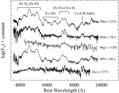 Our spectrum of SN 2009dc about 281 d past maximum, and a few comparison SNe with days relative to maximum light indicated for each spectrum (in parentheses). The spectra from top to bottom are the normal Type Ia SN 1998bu (Jha et al. 2006), SN 2009dc, SN 2006gz (Maeda et al. 2009), SN 1990N (via SUSPECT) and the peculiar Type Ia SN 2002cx (Jha et al. 2006). Major spectral features are labelled. All spectra have had their host-galaxy recession velocities removed and have been dereddened according to the values presented in their respective references.
