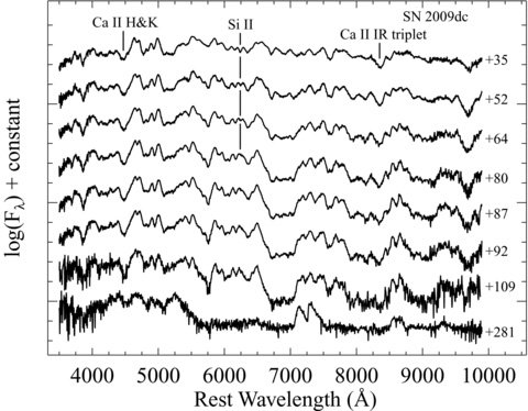 Our post-maximum spectra of SN 2009dc, with days relative to maximum light indicated for each spectrum. Important features discussed in the text are labelled. All spectra have been dereddened by E(B−V)MW = 0.070 mag and E(B−V)host = 0.1 mag with RV = 3.1. We have also removed the host-galaxy recession velocity (cz = 6300 ± 300 km s−1).