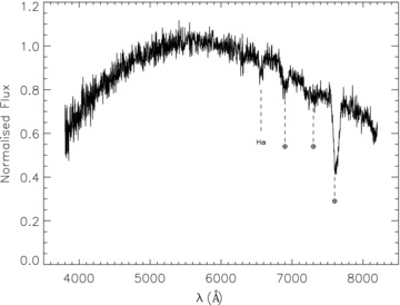 The optical spectra of LSPM J1459+0851, normalized at 6000 Å.